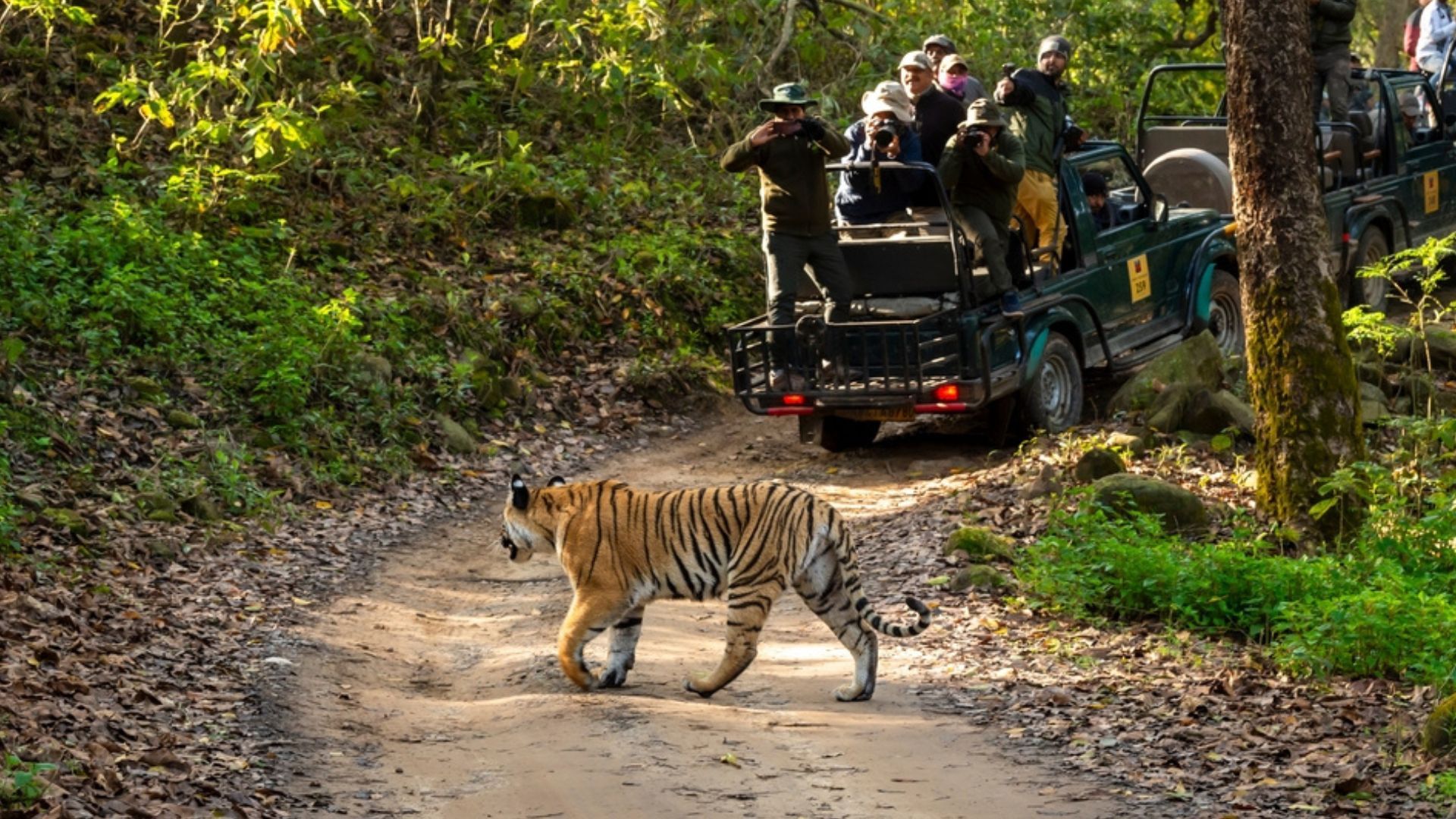 Bijni Biodiversity & Nature Education Centre