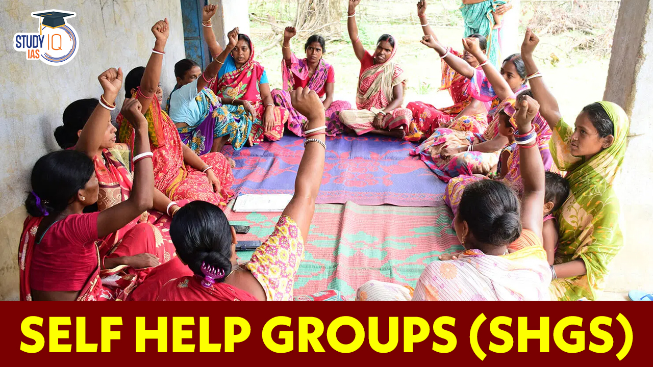 Women Self Help Group